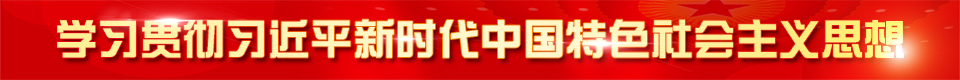 学习贯彻习近平新时代中国特色社会主义思想